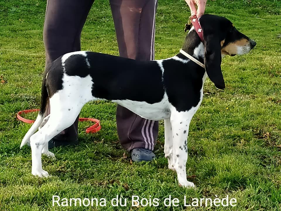 Ramona Du Bois De Larnède