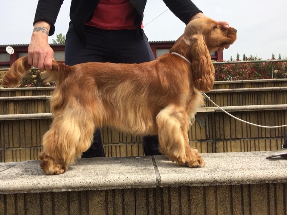 New little girl of Shaggy Love