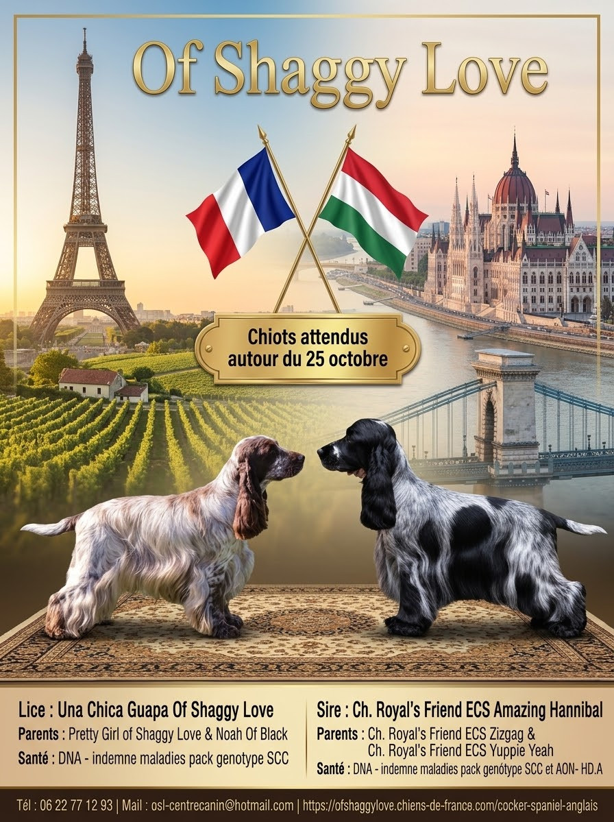 Bientôt dès bébés !